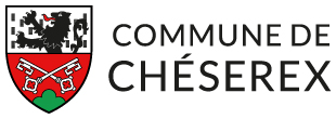 Logo FondationGoblet